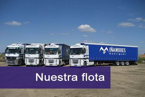 Flota