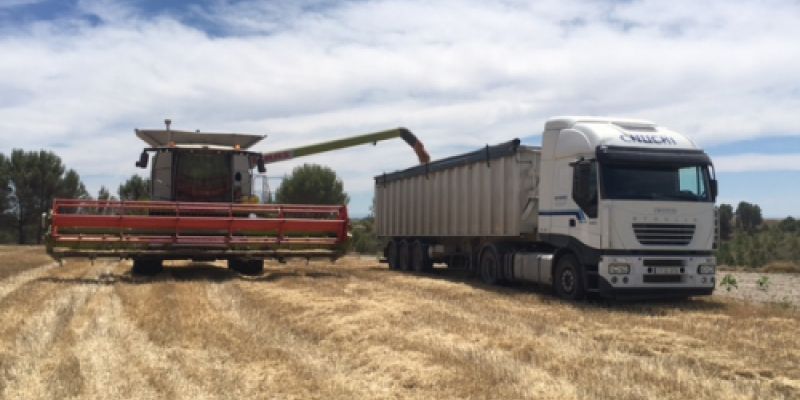 Camión y cosechadora en proceso de recogida de grano