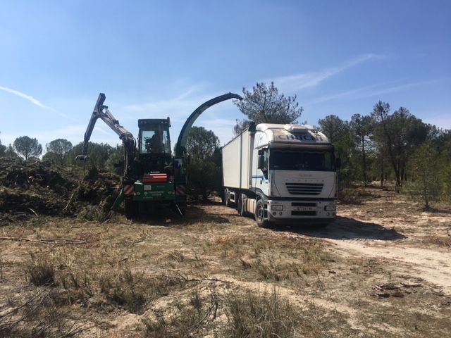 Labores de deforestación con apoyo de uno de los camiones