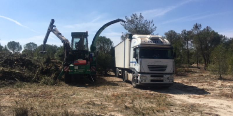 Labores de deforestación con apoyo de uno de los camiones