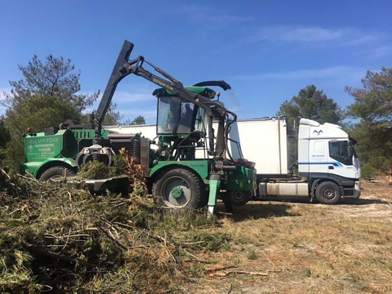 Proyectos de maquinaria forestal en Castilla y León