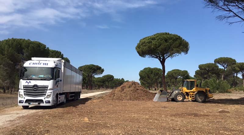 Transporte de biomasa forestal